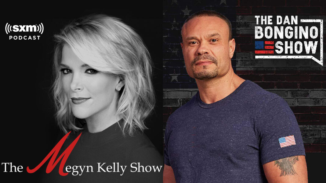 A photo of Megyn Kelly and Dan Bongino